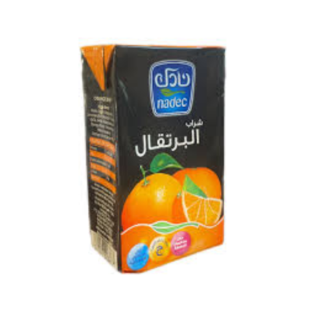 Nadec Mango Drink 250Ml